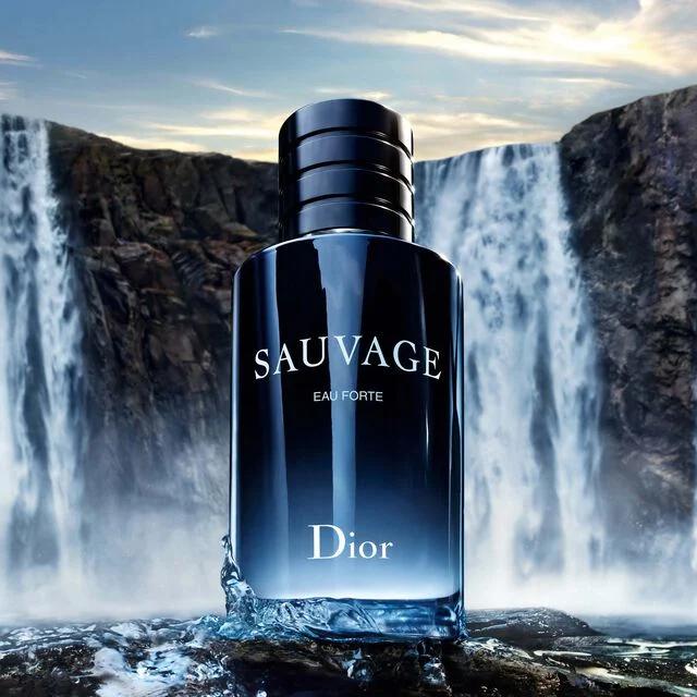 DIOR SAUVAGE PERFUME